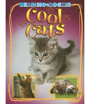 Cool Cats