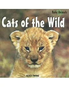 Cats of the Wild