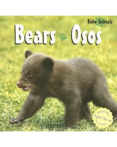 Bears/Osos