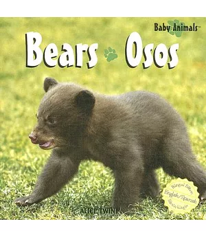 Bears/Osos