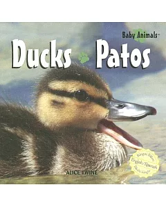 Ducks/Patos