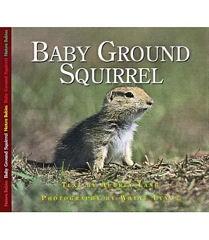 Baby Ground Squirrel