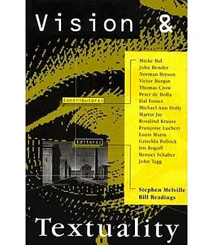 Vision and Textuality