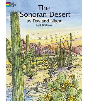 The Sonoran Desert by Day and Night