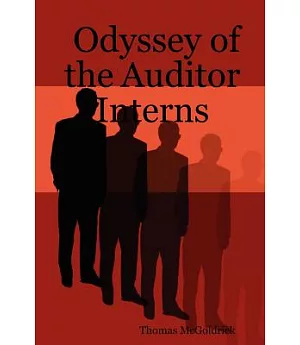 Odyssey of the Auditor Interns