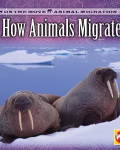 How Animals Migrate