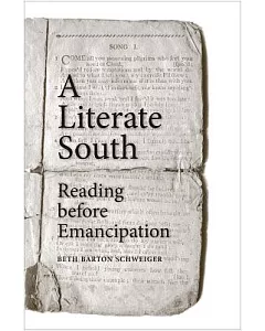 Reading Slavery: Southerners And Their Books