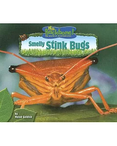 Smelly Stink Bugs