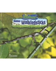 Hidden Walkingsticks