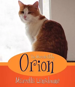 Orion the Miracle Kitty