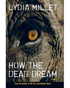 How the Dead Dream
