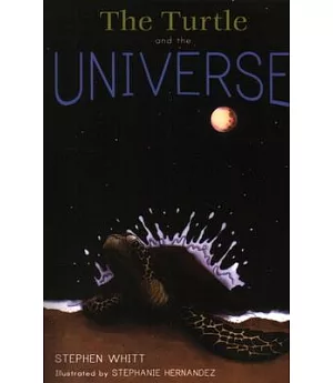 The Turtle and the Universe
