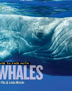 Face to Face With Whales