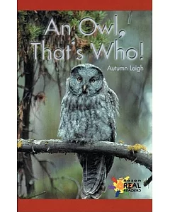 An Owl, That’s Who!