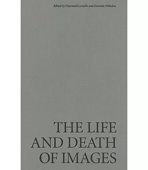 The Life and Death of Images: Ethics and Aesthetics