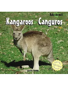 Kangaroos/ Canguros