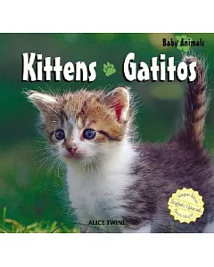 Kittens/ Gatitos