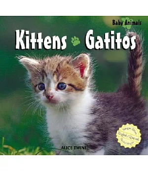 Kittens/ Gatitos