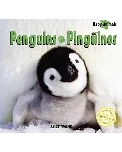 Penguins/ Pinguinos