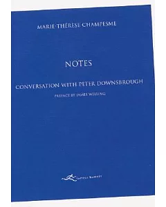 Notes: Conversation With Peter Downsbrough