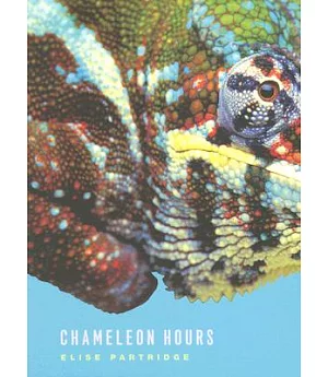 Chameleon Hours