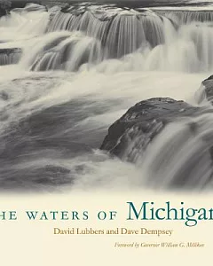 The Waters of Michigan