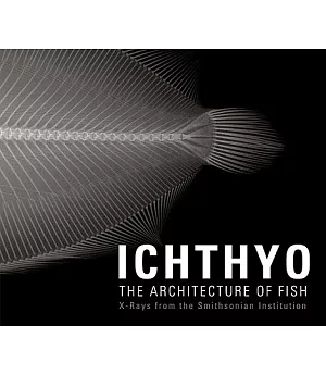 Ichthyo: The Architecture of Fish: X-rays from the Smithsonian Institute