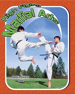 High flying Martial Arts