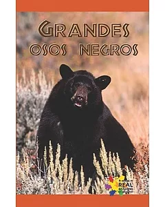 Grandes osos negros/ Big Black Bears