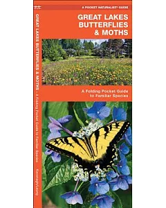 Great Lakes Butterflies & Moths: An Introduction to Familiar Species