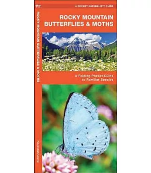 Rocky Mountain Butterflies & Moths: An Introduction to Familiar Species