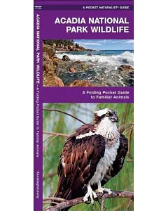 Acadia National Park Wildlife: An Introduction to Familiar Species