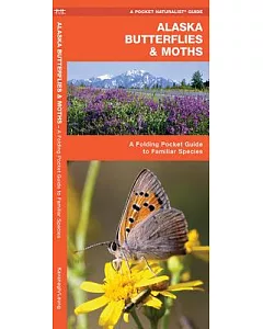 Alaska Butterflies & Moths: An Introduction to Familiar Species