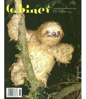 Cabinet 29: Sloth