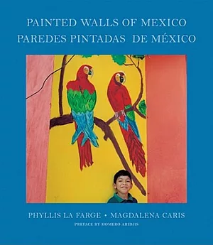 Painted Walls of Mexico/Paredes Pintadas De Mex