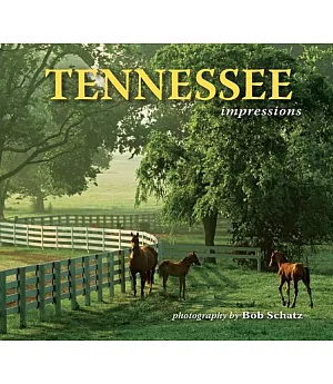 Tennessee Impressions