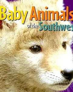 Baby Animals of the Southwest: A rising Moon Book