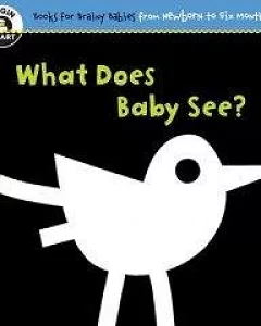 What Does Baby See?