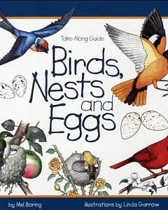 Birds, Nests and Eggs