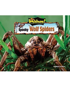 Spooky Wolf Spiders
