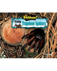 Tricky Trapdoor Spiders