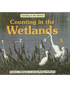 Counting in the Wetlands