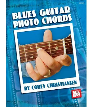 Blues Guitar Photo Chords