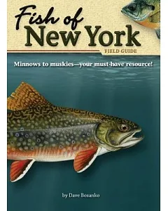 Fish of New York Field Guide