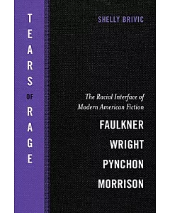 Tears of Rage: The Racial Interface of Modern American Fiction-Faulkner, Wright, Pynchon, Morrison