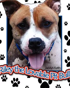Riley The Lovable Pit Bull