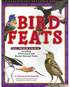 Bird Feats