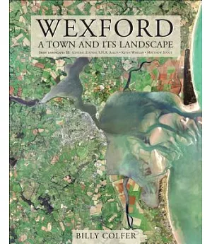 Wexford: A Town and Its Landscape