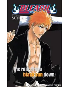 Bleach SOULs: Official Character Book