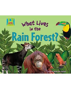 What Lives in the Rain Forest?